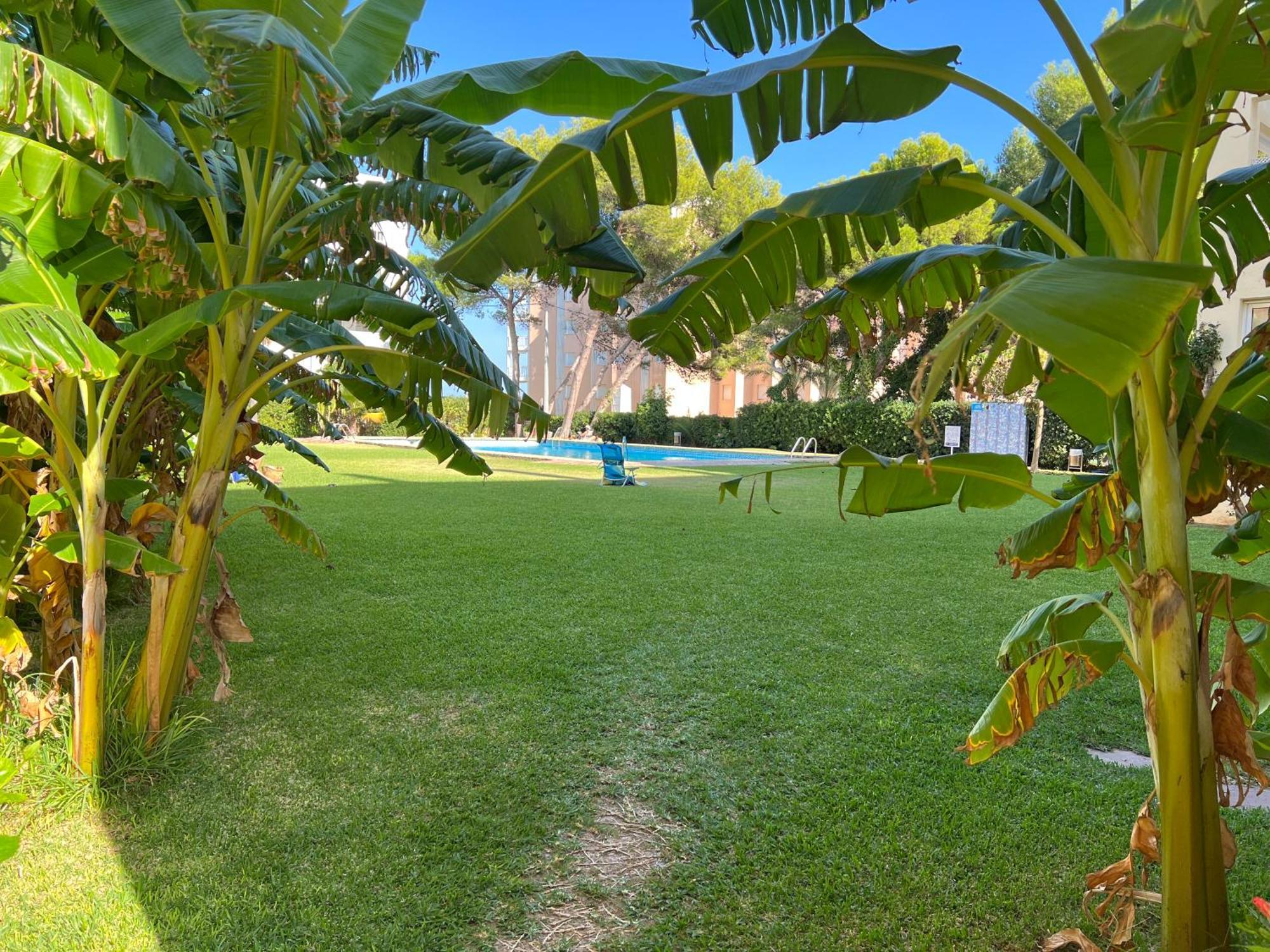 ACOGEDOR Y PRECIOSO ÁTICO EN JAVEA Primera línea playa Jávea Exterior foto