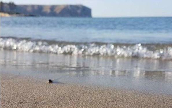 ACOGEDOR Y PRECIOSO ÁTICO EN JAVEA Primera línea playa Jávea Exterior foto